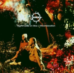 Capa do artigo Mind Elevation - Vinil