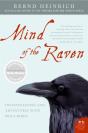 Mind Of The Raven - Preview