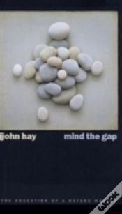Capa do artigo Mind The Gap