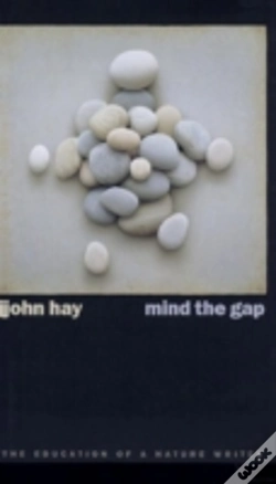 Capa do artigo Mind The Gap