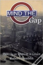 Capa do artigo Mind The Gap