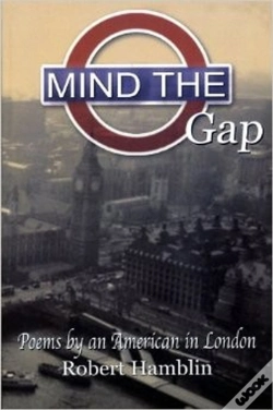 Capa do artigo Mind The Gap
