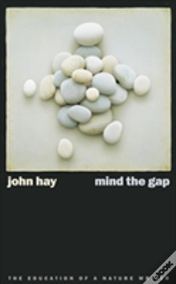 Capa do artigo Mind The Gap