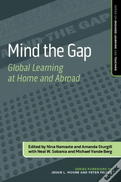 Capa do artigo Mind The Gap