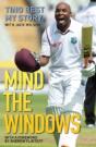Mind The Windows - Preview