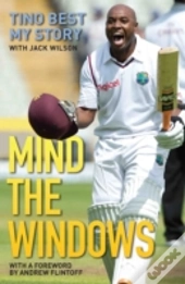 Mind The Windows
