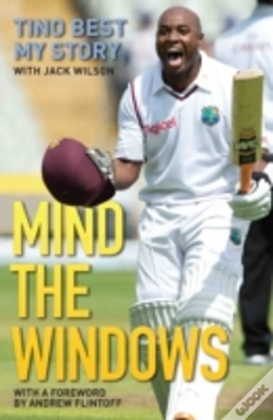 Capa do artigo Mind The Windows