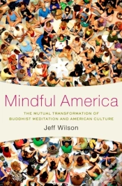 Capa do artigo Mindful America