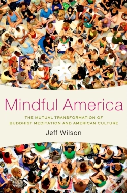 Capa do artigo Mindful America