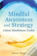 Mindful Awareness And Strategy