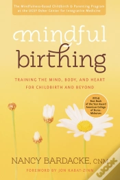 Capa do artigo Mindful Birthing