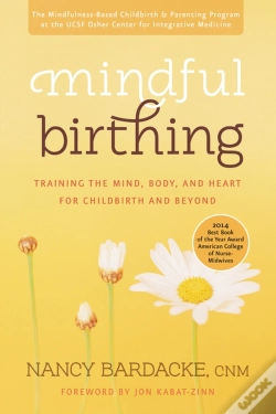 Capa do artigo Mindful Birthing