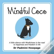 Capa do artigo Mindful Coco