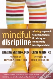 Capa do artigo Mindful Discipline