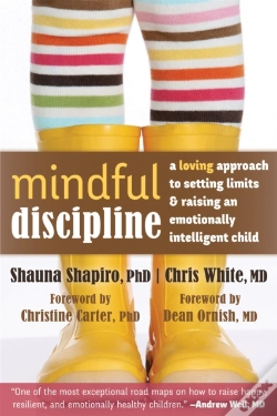 Capa do artigo Mindful Discipline