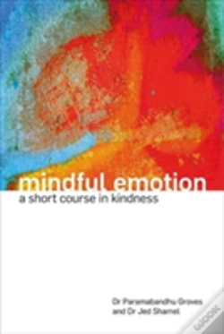 Capa do artigo Mindful Emotion