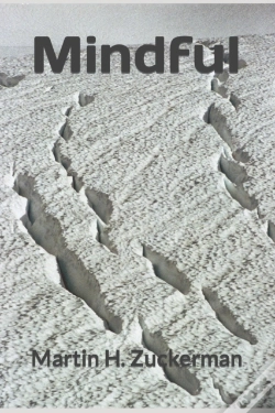 Capa do artigo Mindful