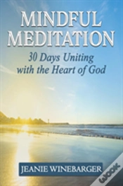 Capa do artigo Mindful Meditation