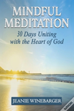Capa do artigo Mindful Meditation