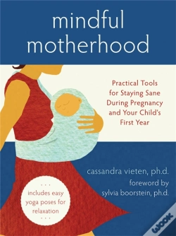 Capa do artigo Mindful Motherhood: Practical Tools For Staying Sane During Pregnancy And Your Child'S First Year