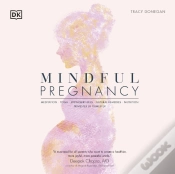 Capa do artigo Mindful Pregnancy