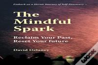 Mindful Spark