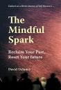 Mindful Spark - Preview