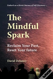 Capa do artigo Mindful Spark