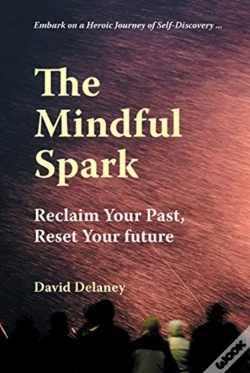Capa do artigo Mindful Spark