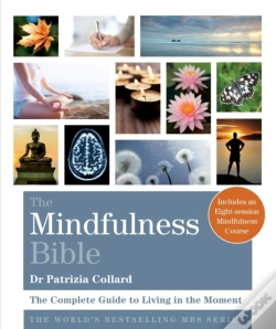 Capa do artigo Mindfulness Bible