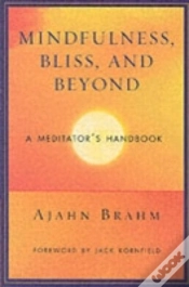 Capa do artigo Mindfulness Bliss And Beyond