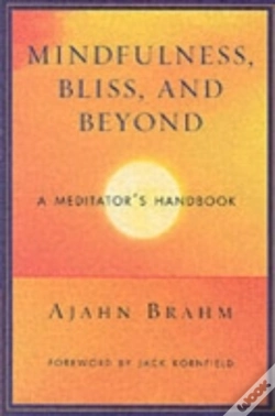 Capa do artigo Mindfulness Bliss And Beyond