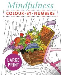 Mindfulness Colour-By-Numbers Large Print