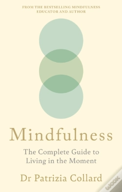 Capa do artigo Mindfulness
