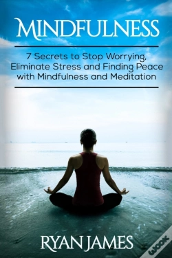 Capa do artigo Mindfulness