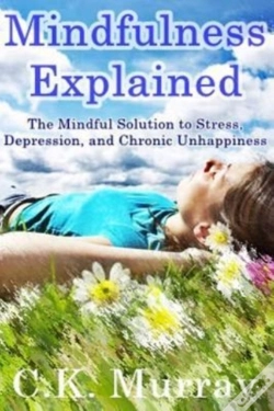 Capa do artigo Mindfulness Explained