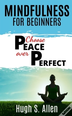 Capa do artigo Mindfulness For Beginners