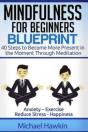 Mindfulness For Beginners Blueprint: 40 - Preview