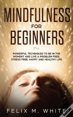 Capa do artigo Mindfulness For Beginners