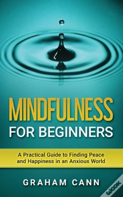 Capa do artigo Mindfulness For Beginners