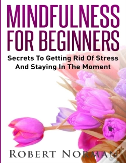 Capa do artigo Mindfulness For Beginners
