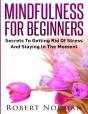 Mindfulness For Beginners - Preview