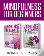 Capa do artigo Mindfulness For Beginners