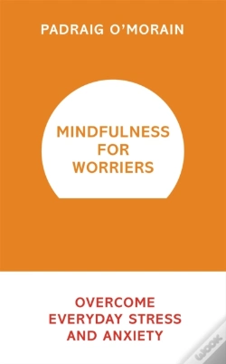 Capa do artigo Mindfulness For Worriers