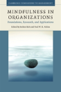 Mindfulness In Organizations - Preview