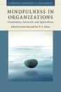 Mindfulness In Organizations - Preview
