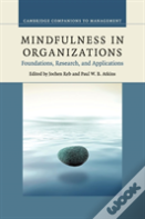 Mindfulness In Organizations