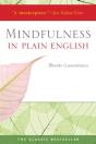 Mindfulness In Plain English - Preview
