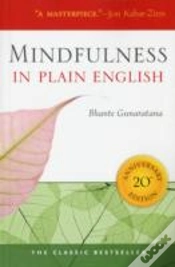 Capa do artigo Mindfulness In Plain English