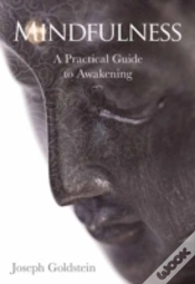 Capa do artigo Mindfulness